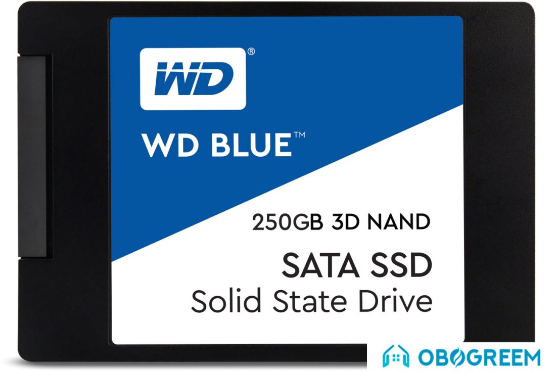 SSD WD Blue 3D NAND 250GB [WDS250G2B0A]