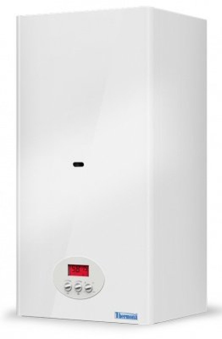 Газовый котел Thermona Therm 23 CLN