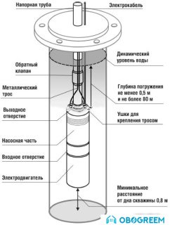 Насос Belamos TF-150