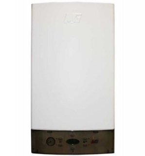 Газовый настенный котел Master Gas Premium 24F