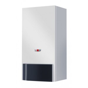 Газовый котел Wolf CGG-1K-28