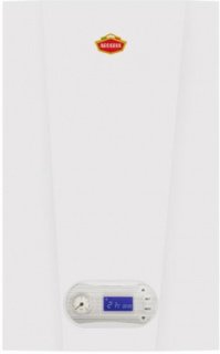Газовый котел Arderia D24