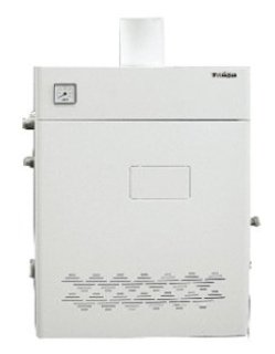 Газовый котел Termotechnik КС-ГВ-12,5 ДS