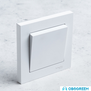 Радиовыключатель HiTE PRO BASE-1F (с фиксацией клавиши при включении) (белый, бежевый, графит, карбон)